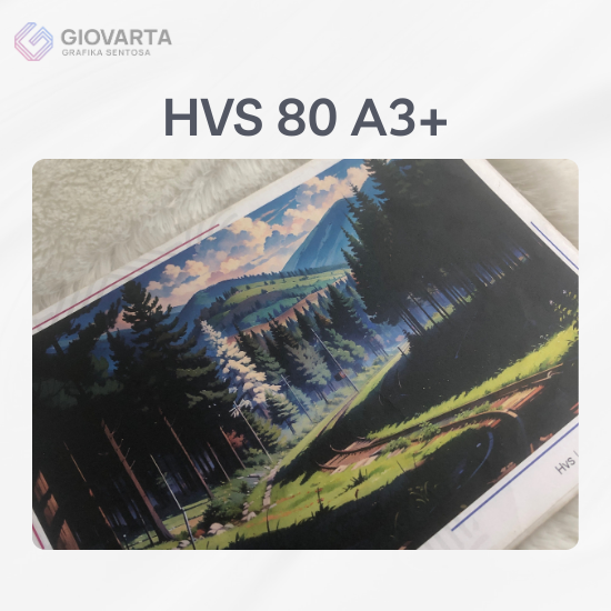 HVS 80 A3+
