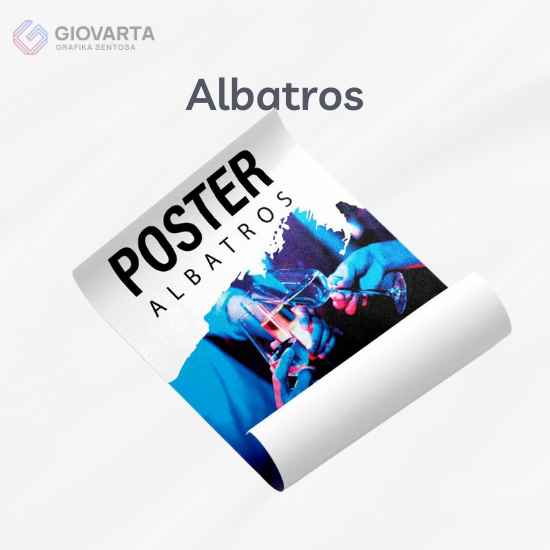 Albatros